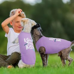 Kuoser Summer Protection Personalized Stretchable Dog Shirt, Purple, Small slide 2 of 7