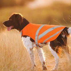 Kuoser Reflective Dog Vest, Orange, Large slide 2 of 8