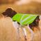 Show in main carousel: Kuoser Reflective Dog Vest, Green, XXX-Large slide 7 of 9