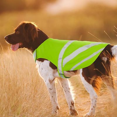 Show full view: Kuoser Reflective Dog Vest, Green, XXX-Large slide 7 of 9
