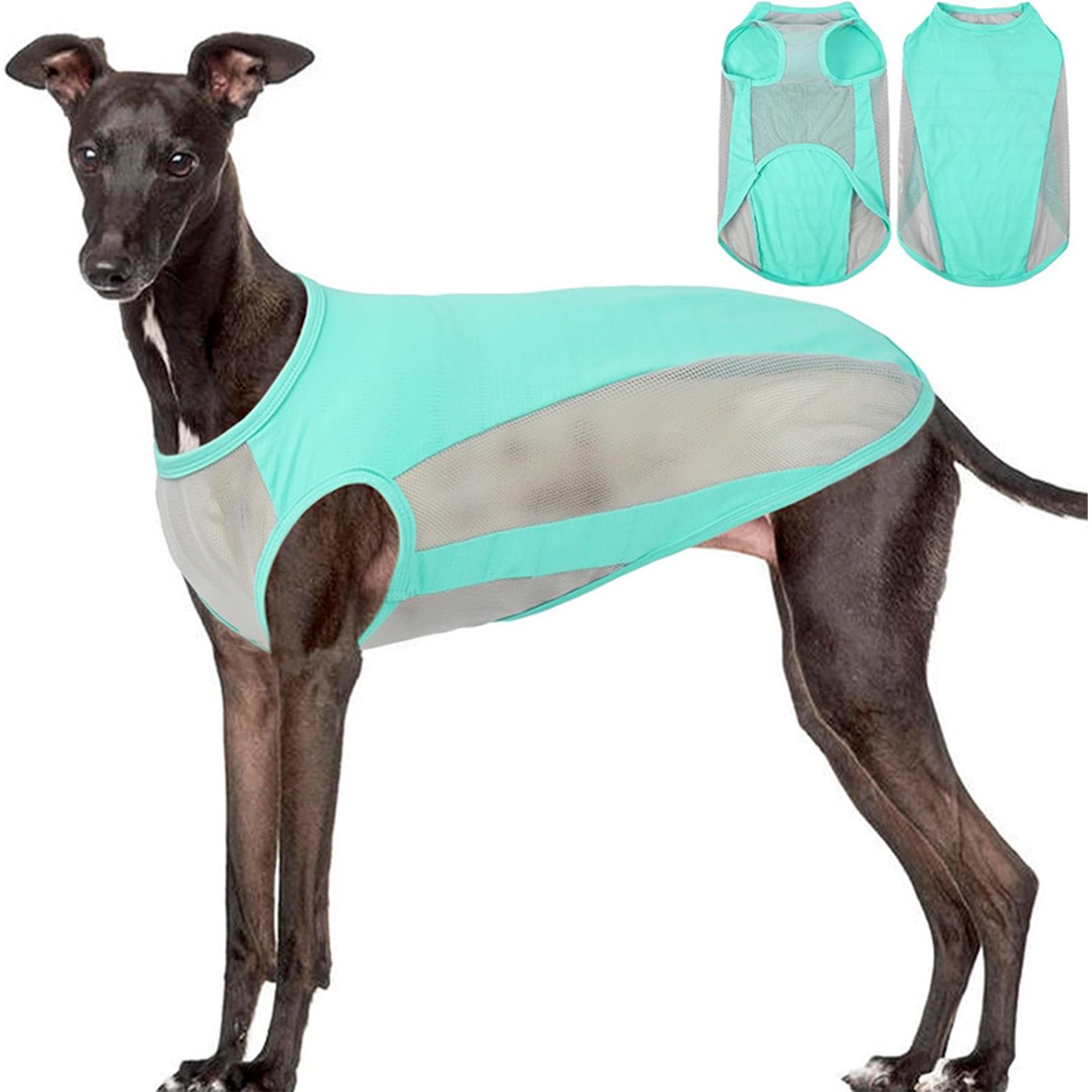 Kuoser Summer Protection Personalized Dog Shirt, Green, XXX-Large