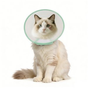 WZ PET Adjustable Dog & Cat Recovery Cone Collar, Green, Medium