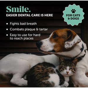 Pet Honesty Fresh Breath Dog & Cat Dental Wipes, 30 count