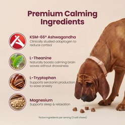 Boops Pets Calming & Stress Relief KSM-66 Ashwagandha Turkey & Beef Flavored Soft Chews Supplement for Dogs, 30 count slide 2 of 9