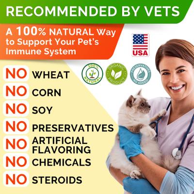 Show full view: StrellaLab Cat Probiotic Powder & Probiotics with Diarrhea Fiber & Digestive Support Supplement for Cats, 4-oz bottle slide 8 of 10
