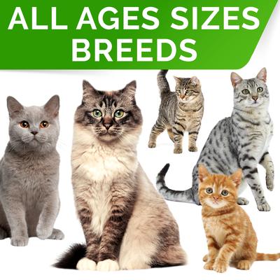 Show full view: StrellaLab Probiotic Powder for Cats Digestive Health Supplement with Prebiotics & Digestive Enzymes, 4-oz slide 6 of 9