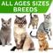 Show in main carousel: StrellaLab Cat Probiotic Powder & Probiotics with Diarrhea Fiber & Digestive Support Supplement for Cats, 4-oz bottle slide 7 of 10