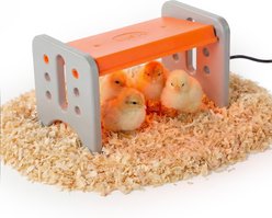 K&H Pet Products Thermo-Poultry Heated Chicken Brooder