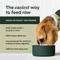Show in main carousel: Instinct FreshDried Bites Grain-Free Wild-Caught Alaskan Pollock Recipe Dog Food, 24-oz bag slide 4 of 10