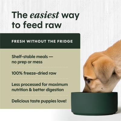 Show full view: Instinct FreshDried Bites Puppy Grain-Free Cage-Free Chicken Recipe Freeze-Dried Dog Food, 25-oz bag slide 5 of 9