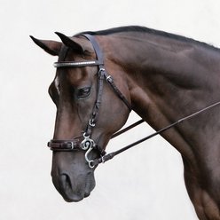 Nunn Finer The Seahorse Hackamore Horse Noseband, Havana & Leather Curb, Horse