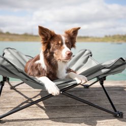 TRIXIE Camping Cot Dog Bed, Gray, Medium slide 2 of 6