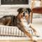 Show in main carousel: Harry Barker Striped Pillow Dog Bed, Large slide 7 of 9