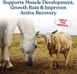 Manna Pro Calf-Manna Multi-Species High-Protein Feed Growth Additive Weight Gain Performance Supplement, 50-lb bag slide 2 of 7