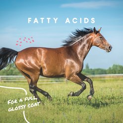 Manna Pro Cool Calories 100 Healthy Weight Gain Dry Fat Supplement for Horses, 20-lb bag slide 2 of 5