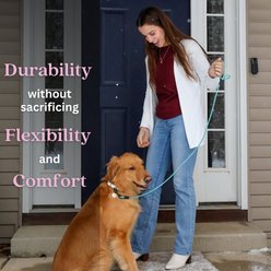 Tailr Waterproof & Odor-Resistant Rope Dog Leash, 4-ft long, 1/3-in wide, Dusty Turquoise slide 2 of 5