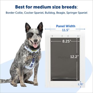 PetSafe Sliding 80 11/16-in Glass Pet Door, White, Medium