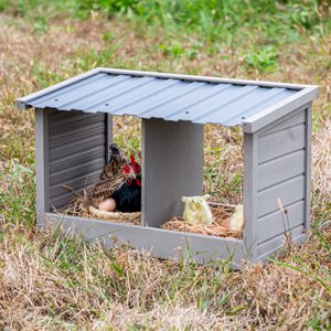 Win World Chicken Nesting Box, Medium