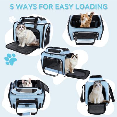 Show full view: Gapzer Top Expandable Soft-Sided Breathable Washable Travel Dog & Cat Carrier, Blue, 19.1 x 11.8 x 11.8-in slide 9 of 9