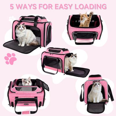 Show full view: Gapzer Top-Expandable Travel Soft Sided Collapsible Washable Carrier for Puppies & Cats, Pink, 19.1 x 11.8 x 11.8-in slide 8 of 9
