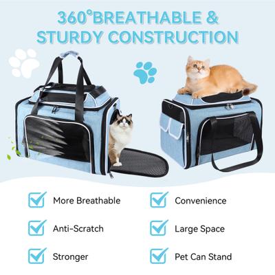 Show full view: Gapzer Top Expandable Soft-Sided Breathable Washable Travel Dog & Cat Carrier, Blue, 19.1 x 11.8 x 11.8-in slide 2 of 9