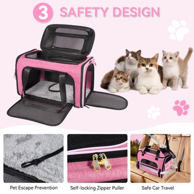 Show full view: Gapzer Top-Expandable Travel Soft Sided Collapsible Washable Carrier for Puppies & Cats, Pink, 19.1 x 11.8 x 11.8-in slide 5 of 9