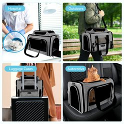 Gapzer Top Expandable Soft-Sided Carrier for Small Dogs & Cats with Locking Safety Zippers & Anti-Scratch Mesh, Grey, 19.1 x 11.8 x 11.8-in slide 2 of 9