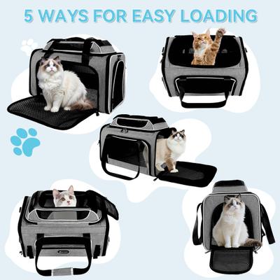 Show full view: Gapzer Top Expandable Soft-Sided Carrier for Small Dogs & Cats with Locking Safety Zippers & Anti-Scratch Mesh, Grey, 19.1 x 11.8 x 11.8-in slide 8 of 9