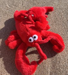 Pet Souvenirs Lobster Large Plush Squeaky Dog Toy, Red, 11-in slide 2 of 4