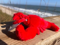 Pet Souvenirs Lobster Small Plush Squeaky Dog Toy, Red, 7-in slide 2 of 4
