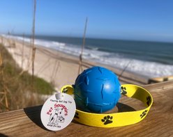 Pet Souvenirs Pawprint Floating Ball Dog Toy, Blue, 2.75-in slide 2 of 3