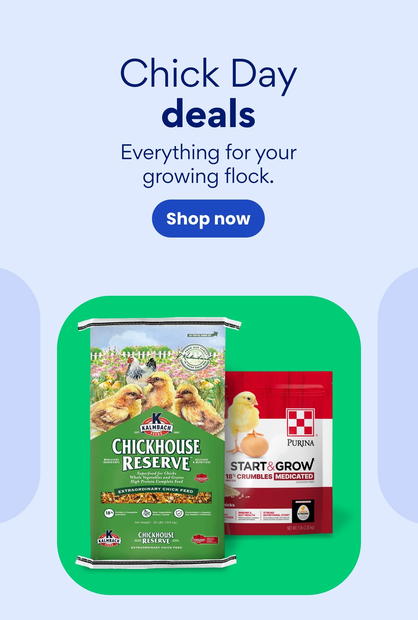 Chick Day deals. Everything for your growing flock. 