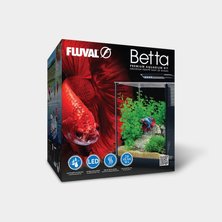 Betta Tanks