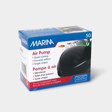 Betta Pumps