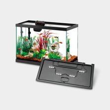 Goldfish tanks