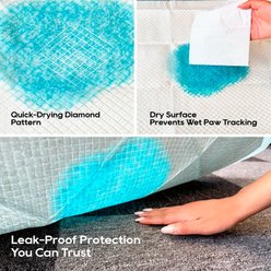 HoneyCare All-Absorb Super Absorbent Dog Training Pads, 22 x 23-in, 100 count, Unscented slide 2 of 8