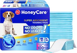 HoneyCare All-Absorb Super Absorbent Dog Training Pads, 22 x 23-in, 100 count, Unscented