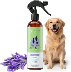 kin+kind Flea+Tick Lavander Repel Spray for Dogs, 12-fl oz bottle