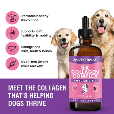 Show full view: Special Breed Premium Collagen Liquid Joint Supplement for Dogs, 8-fl oz slide 3 of 6