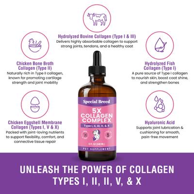 Show full view: Special Breed Premium Collagen Liquid Joint Supplement for Dogs, 8-fl oz slide 4 of 6