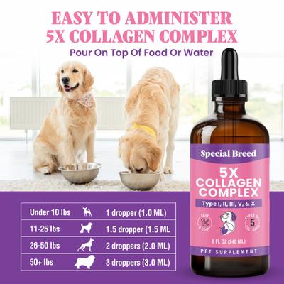 Show full view: Special Breed Premium Collagen Liquid Joint Supplement for Dogs, 8-fl oz slide 5 of 6