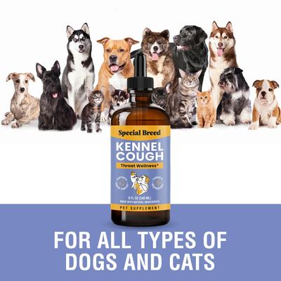 Show full view: Special Breed Cough Support Liquid Respiratory Supplement for Dogs & Cats, 8-fl oz slide 5 of 7