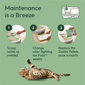 Tidy Cats Breeze Unscented Cat Litter Pellets, 7-lb bag