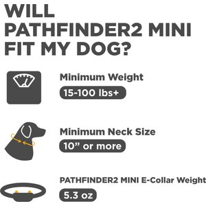 Dogtra Pathfinder 2 Mini GPS Dog Tracking Remote Training Collar System, Orange