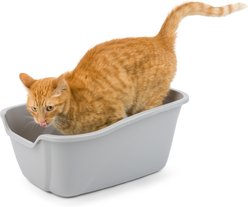 Van Ness High Sides Cat Litter Box, Light Grey, Large