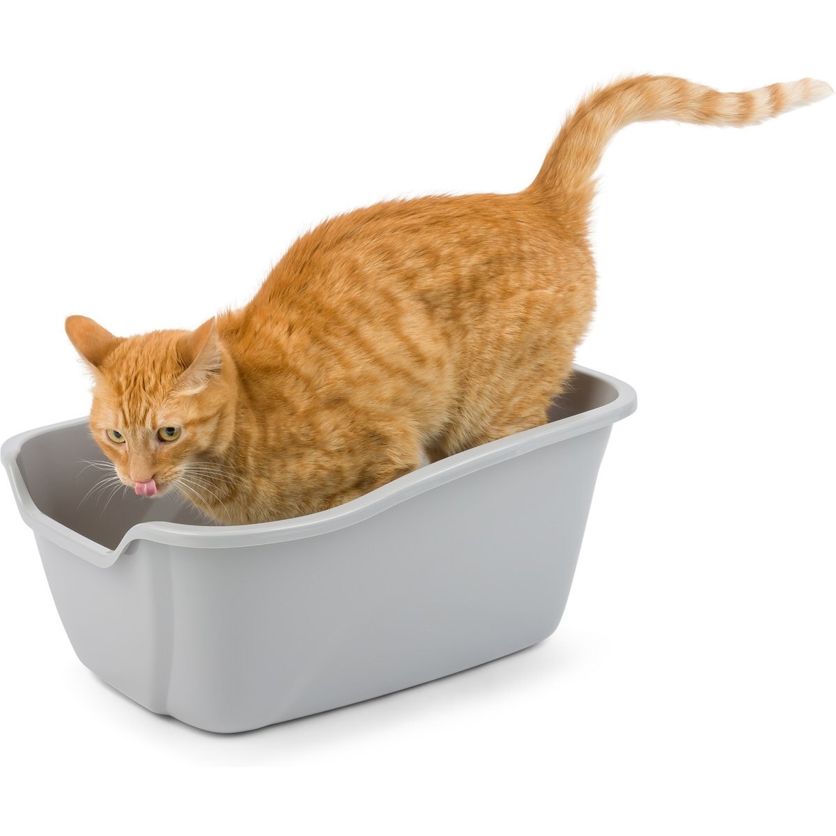 Van Ness High Sides Cat Litter Box, Light Grey, Large