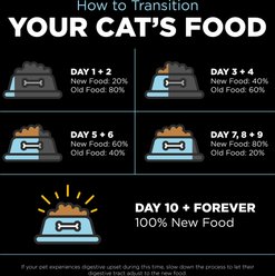 Go! Solutions Dental + Immune Health Chicken + Salmon Recipe with Grains Dry Cat Food, 2.5-lb bag slide 2 of 9