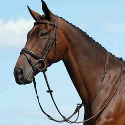 Collegiate Syntovia+ Plain Flat Running Horse Martingale, Brown, Warmblood