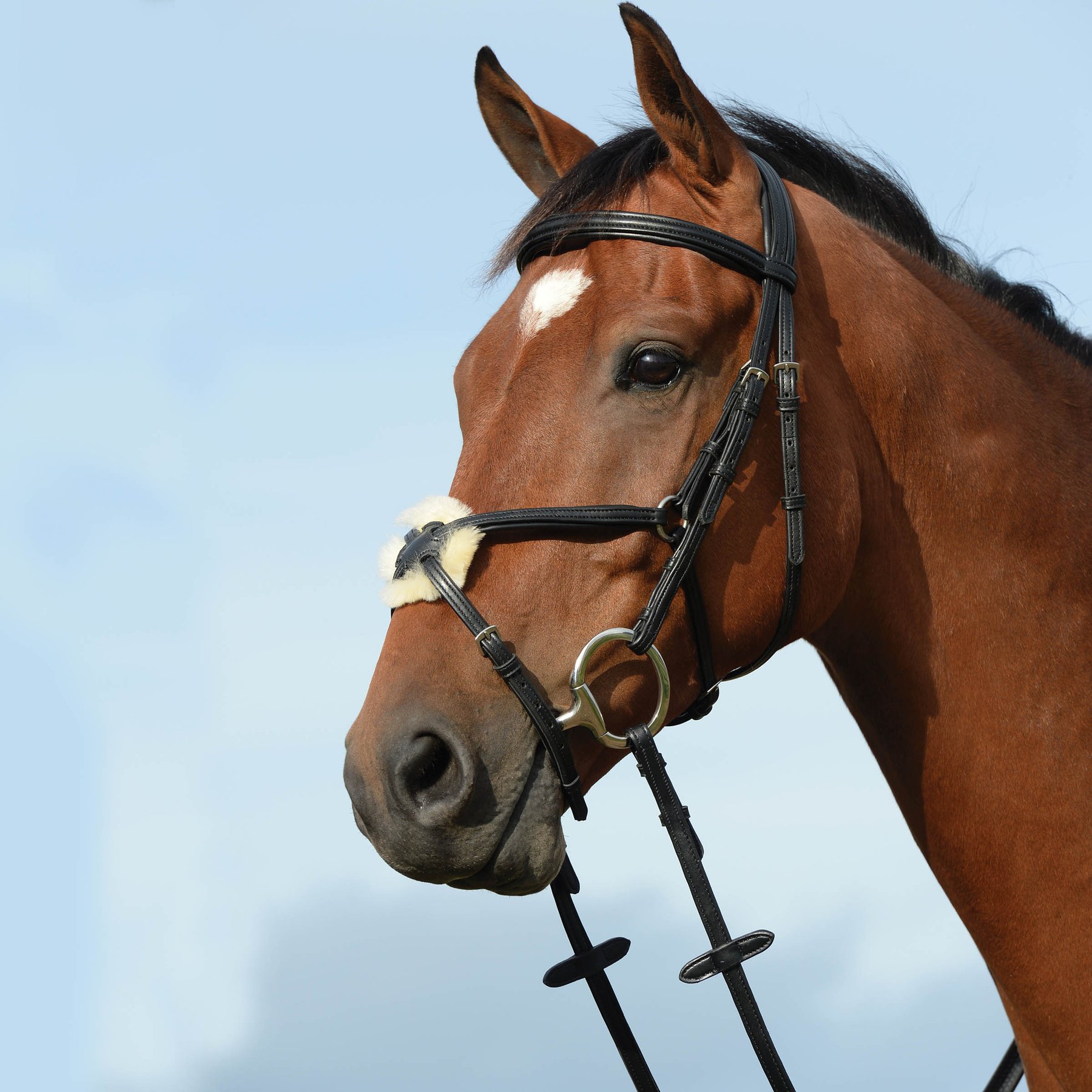 Collegiate Syntovia+ Padded Raised Figure 8 Horse Bridle, Black, Full