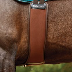 Collegiate Memory Foam Horse Girth, Brown, 48-in slide 2 of 2